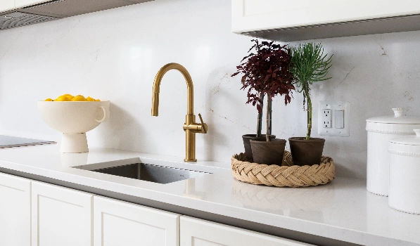 The Grove on Park Kitchen Sink Detail